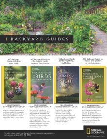 Backyard Guides Sell Sheet cover