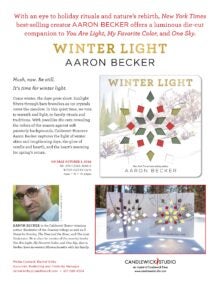 Winter Light Sell Sheet cover